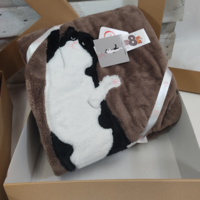 COPERTA MORBIDOTTO SLEEP 150X200 Tellini S.r.l. Ingrosso Abbigliamento